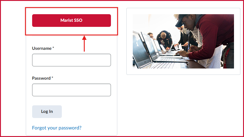 Screenshot of user interface of login page highlighting SSO button.