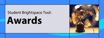 Banner image titled 'Student Brightspace Tool: Awards' on blue background.