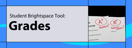 Banner image titled 'Student Brightspace Tool: Grades' on blue background.