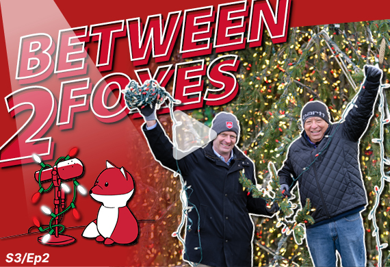 Image of Marist holiday tree with