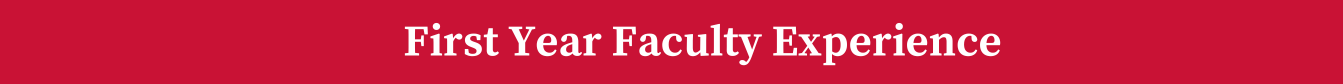 Marist red background with the text "First Year Faculty Experience".